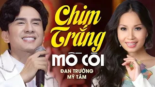 Chim Trắng Mồ Côi - Đan Trường & Cẩm Ly | Official Music Video