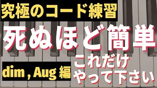 【ジャズピアノ初心者】コードの練習はこれだけでOK！dim, Aug第一転回