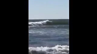 Surfing Fire Island, N Y