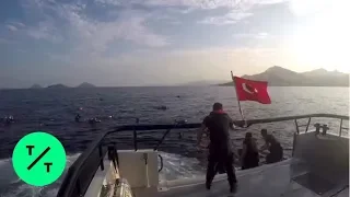 12 Dead, 31 Rescued After Migrant Boat Sinks off Turkish Coast