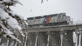 "Dashing Through the Snow" | Fast Trains on the NJ Transit Atlantic City Line [1/19/24]