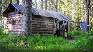 I LIVE ALONE WITH MY DOG IN A LOG CABIN. THE BEAR GOT INTO THE MAN'S DWELLING.