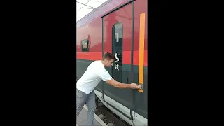 Bentley vs Train