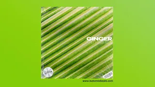 "Ginger" - Wizkid x J Balvin Type Beat Instrumental 2021