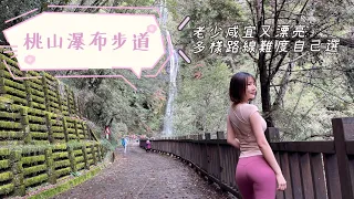 【武陵桃山瀑布步道Vlog】好美的針葉林步道！老少咸宜全程緩坡，想要挑戰攀爬陡升也有滿滿的山中小徑可以走！難易自選，終點還有超高級廁所！