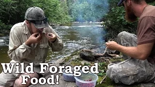 Catch and Cook | NATIVE BROOK TROUT!!! | 100% Wild Foraged Lunch!