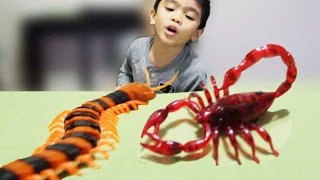 Innovation Scorpion and Giant Scolopendra Creepy Crawlers Toys