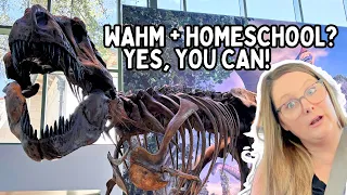 DITL Work at Home Homeschool Mom | Witte Museum Field Trip | Crystal Lopez