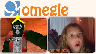 Gorilla Tag In OMEGLE?!