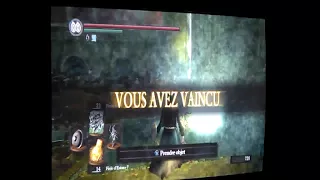 Asylum Demon Glitch - Dark Souls.