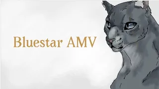 Bluestar AMV little pistol