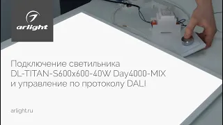 Подключение светильника DL-TITAN-S600x600-40W Day4000-MIX и управление по протоколу DALI