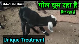 बकरी का बच्चा गोल घूमना  Goat kid circling disease  Ramawat goat care