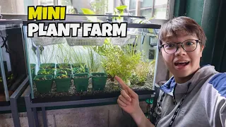 My MINI Aquatic Plant FARM TANK!!