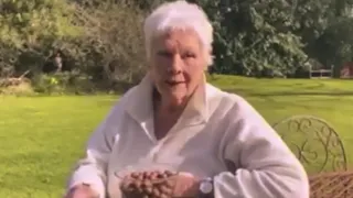 JUDI DENCH EATS 100 CHOCOLATE BALLS FOR CHARITY