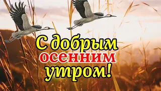 С Добрым Утром! Красивая Песня Сергея Чекалина! Послушайте!  Музыкальная Открытка Пожелание!