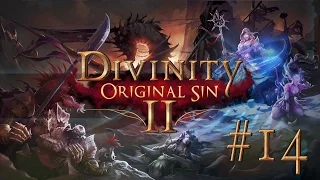 Divinity Original Sin II #14 FIRE PIGS - Let's Play