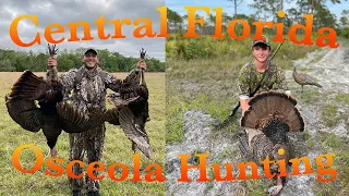 Public Land Osceola Turkey Hunting Tips and Tricks