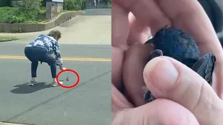 Grandma Rescues Bird Stuck In Road