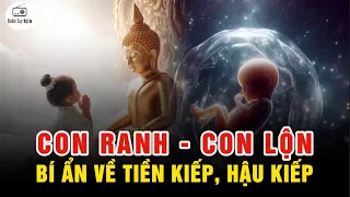 Giải mã hiện tượng CON RANH, CON LỘN - Bí Ẩn Nghiệp Chướng Nhiều Đời