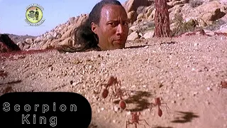 Scorpion 🦂 King Movie Explained