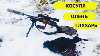 Охота на косулю, лису оленя. Охотничьи приключения в Норвегии/NORDIC WILD HUNTER (Охотник и рыболов)