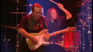 Walter Trout - Cry if you want to