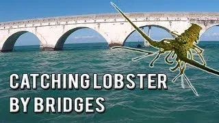 fishing lobster How to Catch Lobster by Bridges Aloha hui! Welcome again to Shaka Fishing!