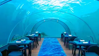 20 Craziest Restaurants That Actually Exist