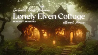 Enchanted Forest Ambience Meditation: A Lonely Elven Cottage and  Relaxing Music