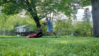 lawn care over grown luxe Nettoyage Ross service