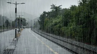 Rain at a Rural Train Station: Feeling the Calmness of a Rainy Day