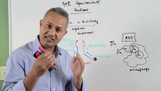 Mechanism of Type III Hypersensitivity Reaction