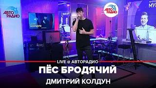 Дмитрий Колдун - Пёс Бродячий (LIVE @ Авторадио)