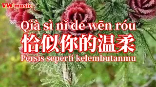 恰似你的温柔 Qia si ni de wen rou - 蔡琴 Cai qin (Lirik dan terjemahan)