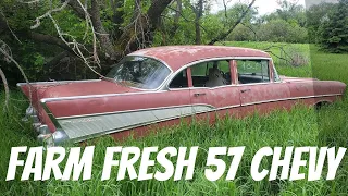 ABANDONED 1957 Chevy BelAir will it run and drive after sitting for YEARS! - Farm Field Rescue