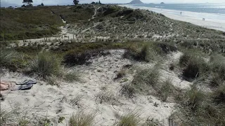 Papamoa Dunes Ambient Beach Sounds | 8 Hours