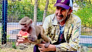 Люська РВАНУЛА ДОМОЙ и ДАВАЙ РАДОВАТЬ и Степу, и Маню, Басю, Тимошку, но больше всех Влада)))