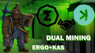 Настройка дуал майнинга  ERGO+KAS в HiveOS BZminer