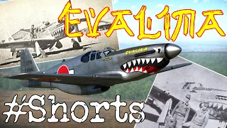 P-51C-11-NT "Evalina" History || War Thunder #Shorts