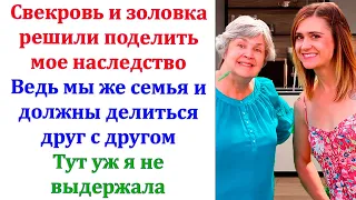 Мы же родня и должны честно поделить. Мне как раз дача нужна. А моей дочери ремонт делать пора.