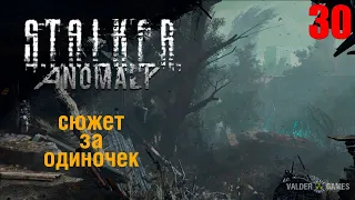 S.T.A.L.K.E.R.:  mod ANOMALY РЕЛИЗ/ЗА ОДИНОЧЕК. ИНТЕРАКТИВ. 16+