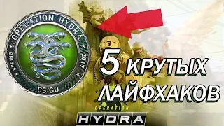 5 ЛАЙФХАКОВ В ОПЕРАЦИИ HYDRA. КАК ПОЛУЧИТЬ БРИЛЛИАНТОВУЮ МЕДАЛЬ?