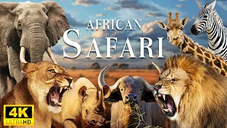 African Safari 4K - Amazing Wildlife of African Savanna With Relaxing Music