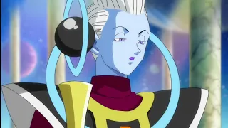 supreme kai passes out after goku gives zeno a name