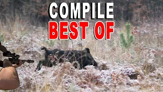 COMPILE BEST OF WILD BOAR HUNTING