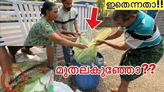 മുതലകുഞ്ഞിനെ ആയിട്ട് വീട്ടിൽ ചെന്നപ്പോൾ!! | Bought New Aligator gar |