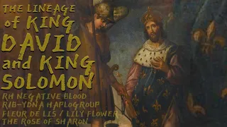 The Lineage of King David & Solomon - Rh Negative Blood & R1b YDNA + Fleur de Lis & Rose of Sharon