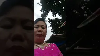 VIRAL...MAENA NIAS DI PERNIKAHAN SYUKUR LAIA