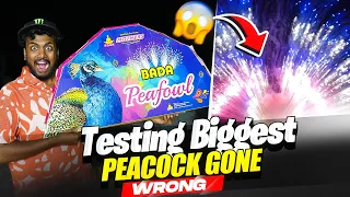 Testing New SkyShots & Peacock Anar 😱 For Diwali Prank Gone Wrong 🥲